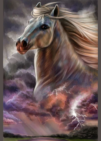 Картина за номерами Вільний кінь Картини за номерами коні 40х50см GX36495 Rainbow Art (308989064)