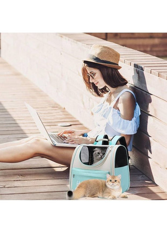 Рюкзак-переноска для тварин Hello Cat для котів і малих порід собак Бежево-Бірюзовий No Brand (351506421)