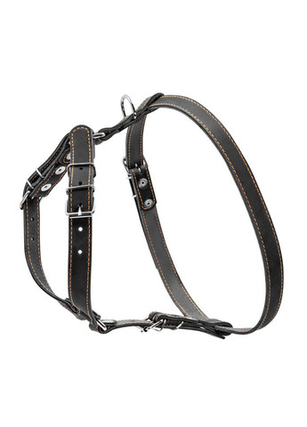 Шлея " " одинарная для мелких и средних собак (ширина 20 мм, А:40-56 см, В:57-65 см) Collar (279570450)