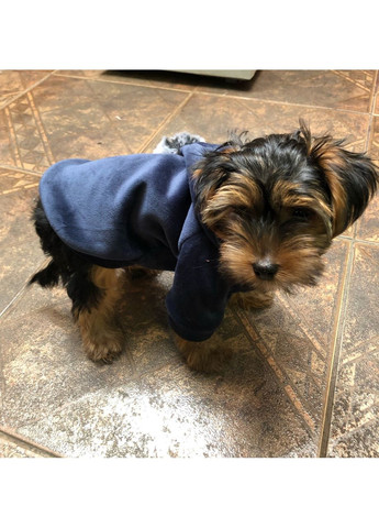 Толстовка для собак Aapa с капюшоном. No Brand (362571891)