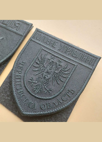 Шеврон Главное Управление Национальной Полиции - Черниговская область черный No Brand (336381916)