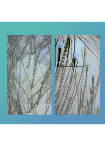 Peptide Prep Detox Shampoo 53 мл. K18 Hair (368725376)