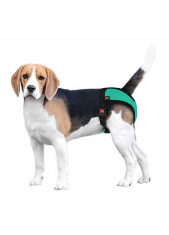 Трусы гигиенические Bronzedog Mesh регулируемые 3D сетка Ментоловые Barksi (370549738)