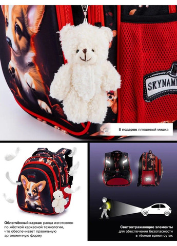 Рюкзак школьный для девочек /SkyName R2-213 Winner (331532385)