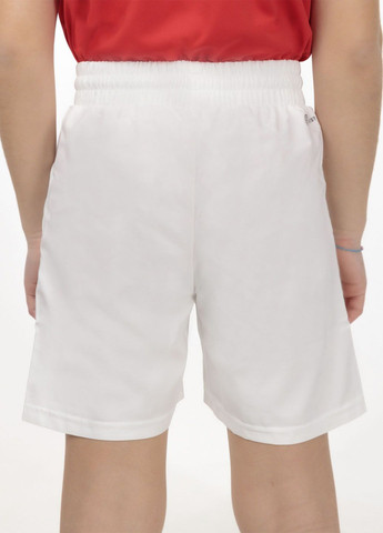 Спортивні шорти Club Tennis 3-Stripes Shorts HR4289 adidas (283274304)
