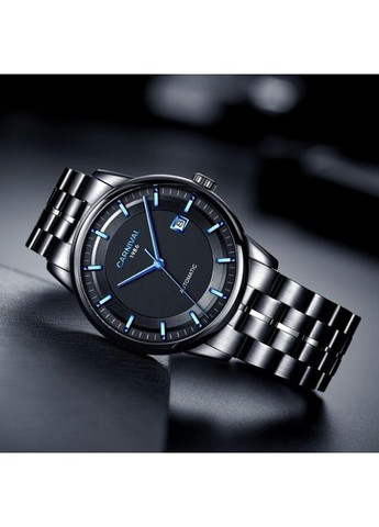 Special Carnival (346531647)