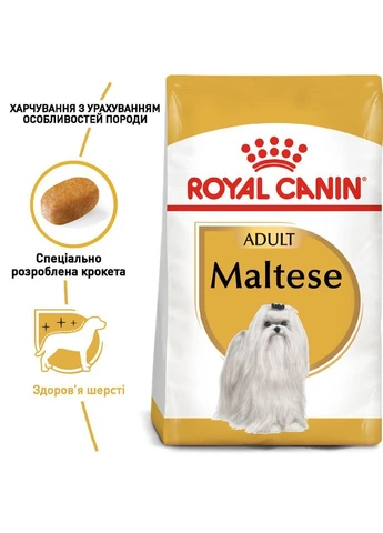 Сухой корм Maltese Adult для собак породы Мальтийская болонка 0.5 кг Royal Canin (376534196)
