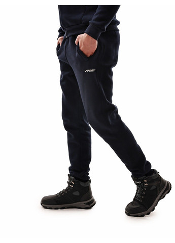 Штани спортивні чоловічі Van Gils (366820461)