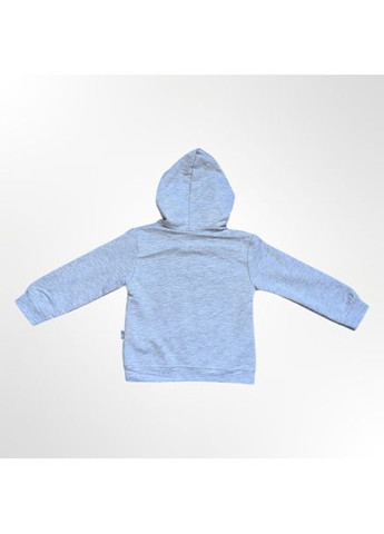 Сірий демісезонний дитячий комплект (кофта з капюшоном + штани) для хлопчика сірий (0370-12) брючний Murat baby