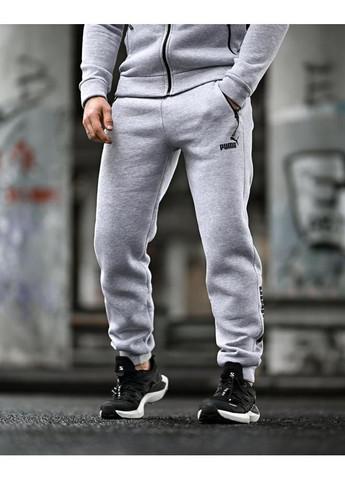 Чоловічий спортивний костюм на флісі Puma No Brand (364196614)
