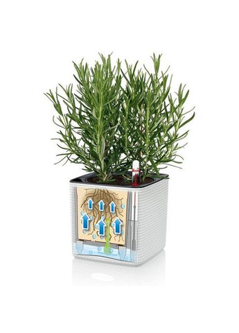 Умный вазон Cube Color 14 1 л белый 13380 Lechuza (316621006)