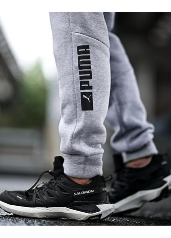 Чоловічий спортивний костюм на флісі Puma No Brand (364196614)