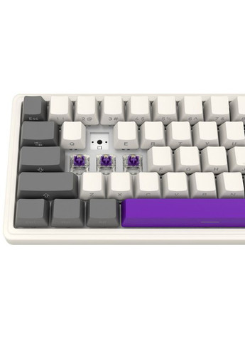 Клавиатура KBP70MW Pro Wireless Mechanical EN/UA Beige (LRG-KBP70MW-RT-US) LORGAR (334831728)