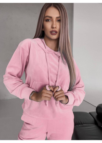 Велюровий базовий костюм No Brand (371923710)