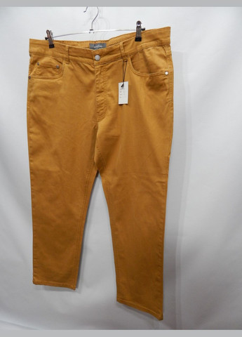 Штани чоловічі демісезонні Rover&Lakes р. 52 (38X30) 118DGM C&A (315781357)