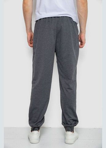 Темно-серые спортивные демисезонные брюки Sport Line