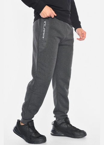 Серые спортивные зимние зауженные брюки Let's Shop
