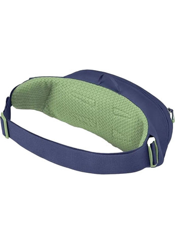 Сумка на пояс Daylite Waist Blue Spikemoss/Alkaline Osprey (327844437)