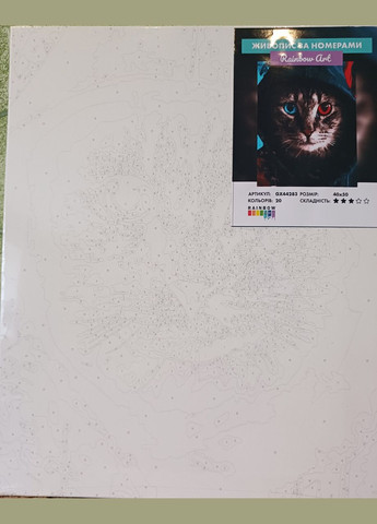 Картина по номерам Дворовой кот Картины в цифрах Животные Холст на деревянном подрамнике 40х50см GX44283 Rainbow Art (308988443)