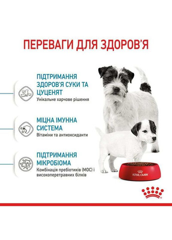 Сухий корм Mini Starter для цуценят та собак дрібних порід у період вагітності та лактації 8 кг Royal Canin (289391157)