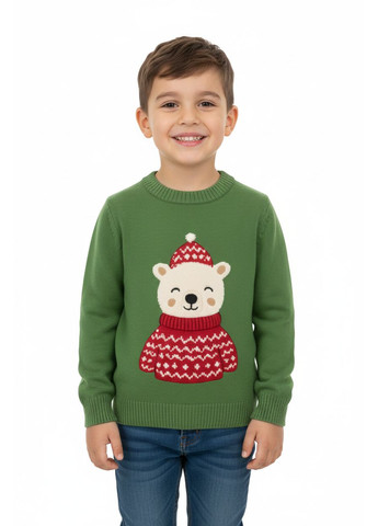 Зеленый зимний свитер детский для мальчика с мишкой зеленый (5300) 110 No Brand