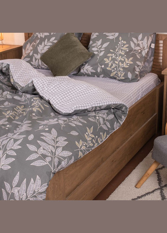 Постельное белье Вилюта ранфорс 22218 семейное Viluta (288045577)