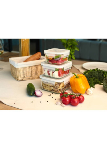 Контейнер miFamilia 750 мл Nested collection (6086) Mi Familia (316034633)