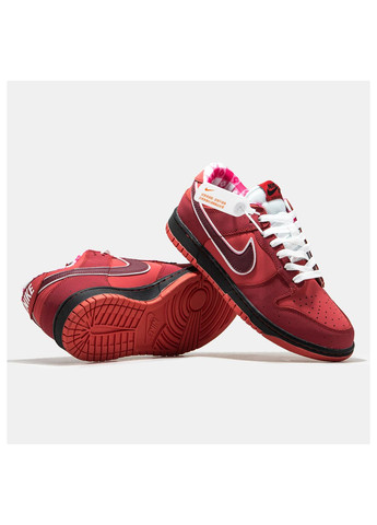 Красные демисезонные кроссовки мужские Nike SB Dunk Low Red Lobster