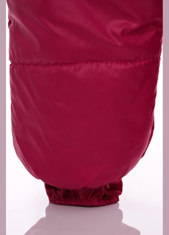 Розовый демисезонный комбинезон для девочки на холлофайбере малыш сливовый 86 см (44976) BABYKROHA