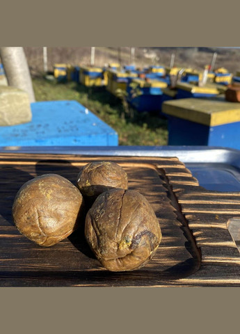 Прополіс бджолиний 10 грам МЕД ПОШТОЮ (322148749)