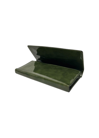 Жіночий гаманець з еко-шкіри C-3032 зелений 19 x 9 x 2.5 Saralyn (369157603)
