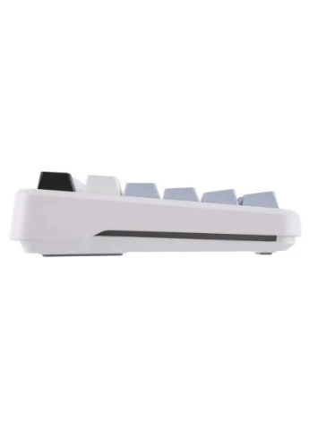 Клавіатура F108 Pro Reaper Switch USB/Bluetooth/2.4G White (6978080501318) Aula (396673294)