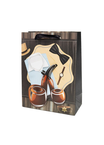 Подарунковий чоловічий пакет колір різнокольоровий CB-00258621 No Brand (314890334)