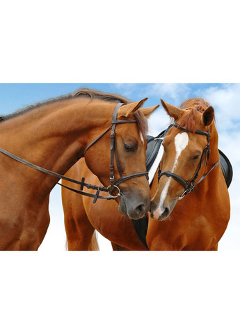 Календар настінний квартальний на 2026 рік на три пружини,, рік Коня, Кінь, символ року Кінь,Horses, 29,7х61см Apriori (350888279)