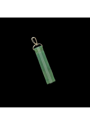 Світловідбиваючий брелок Svitashka зелений 1 шт No Brand (317049276)