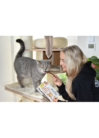 М’ясні палички для кішок, індичка та кролик, 4 шт (*) GimCat (322773837)