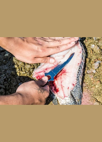 Ніж Туристичний для Полювання Рибалки Нескладний Універсальний Haller (Sarawak) SH102 (602307209) Clefers (300694510)