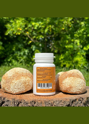 Экстракт Ежовика гребенчатого, молотый 50 г Лісовик (337336453)