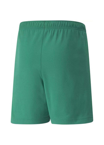 Шорты teamRISE Short Jr зеленый Puma (367589356)