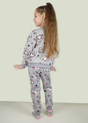 Сірий демісезонний костюм кот та собака GEX Костюм