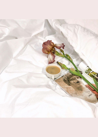 Комплект постільної білизни Євро Ранфорс Вибілений Viluta (370678778)