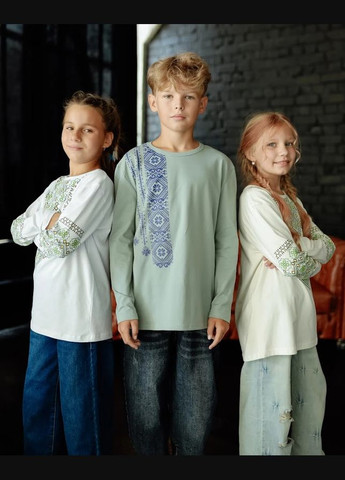 Біла джемпер для хлопчика з принтом-вишивкою прямого крою hc (h001-6363-1) (299915943)