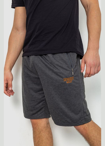 Шорты мужские 244R6329 Ager Шорты (299808576)