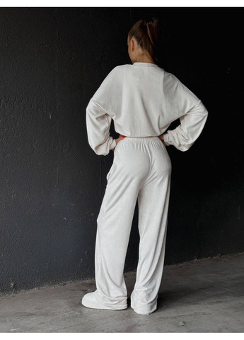 Жіночий велюровий спортивний костюм FINO Mode (361659378)