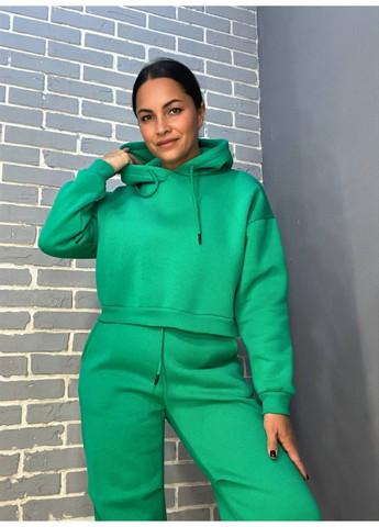Костюм женский 478-480 короткое тощие с капюшоном и брюки джоггеры на резинке флис Quzen (304062694)