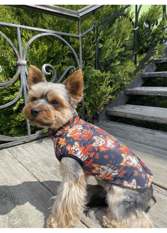 Вітровка-жилетка для собак No Brand (358652255)