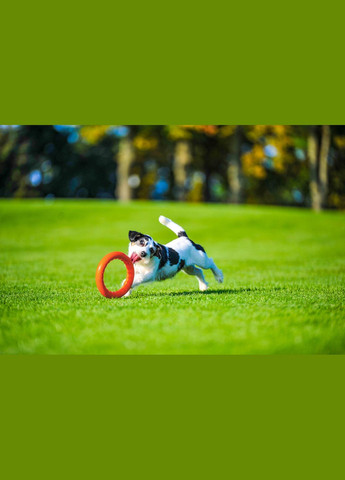 Кільце для апортування 30 д-28 см Жовтогаряче PitchDog (329994223)