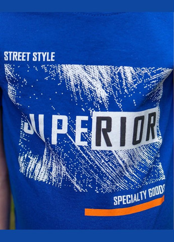 Синій літній комплект для хлопчика (футболка+шорти) hc (h001-6102-001-33-1) No Brand