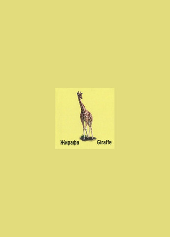 Комплект По следам животных.На ферме, В джунглях, В лесу, В саванне (украинский / английский)/ Елена Вирастюк Читаріум (335209993)