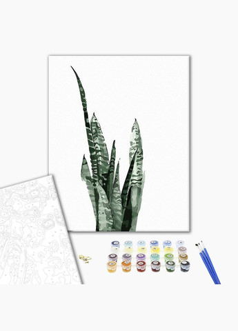 Картина за номерами Сансевієрія аквареллю 40х50 Малювання по номерах Картини за номерами рослини GT61071 Brushme (308987977)